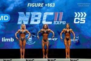 FIGURE +163